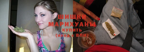 сатива Иннополис