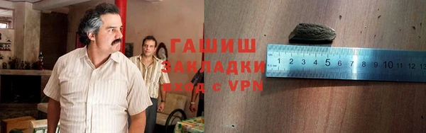 гидра Инсар
