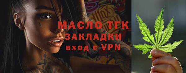 сатива Болохово