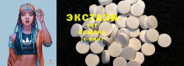 гидра Инсар