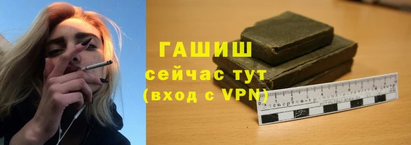 амф Снежногорск