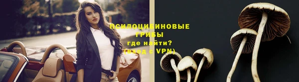mdpv Инта