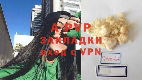 сатива Иннополис
