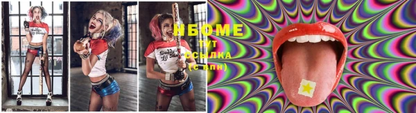 сатива Иннополис
