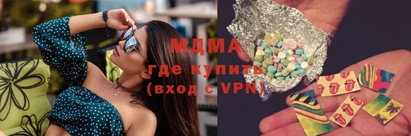 амф Снежногорск