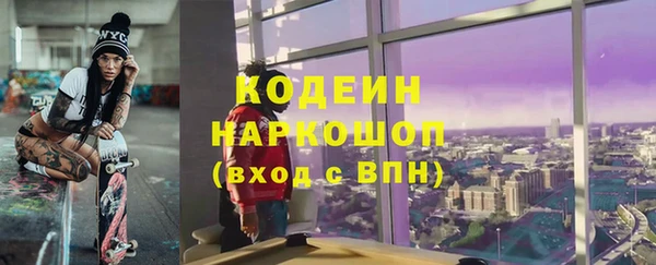 амф Снежногорск