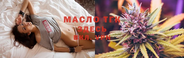 гидра Инсар