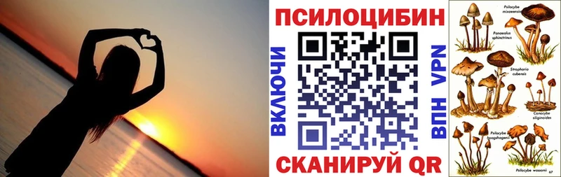 KRAKEN ONION  Снежинск  Псилоцибиновые грибы прущие грибы 